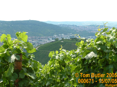 Photo ID: 000671, The Stuttgart countryside, hill upon hill of vineyards, Stuttgart, Germany