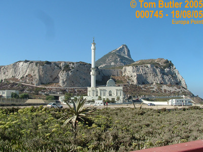 Photo ID: 000745, The end of the Rock, Mosque and Palms at the end of Europe, Europa Point, Gibraltar