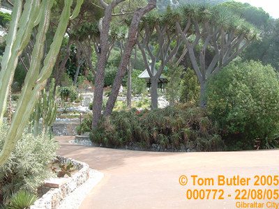 Photo ID: 000772, Inside the Alameda gardens , Gibraltar City, Gibraltar