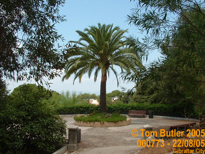 Photo ID: 000773, Inside the Alameda gardens , Gibraltar City, Gibraltar