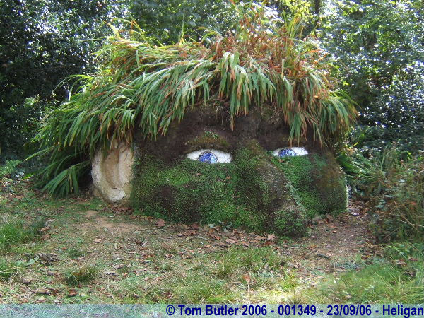 Photo ID: 001349, A mud giant in the Lost Gardens, Heligan, Cornwall