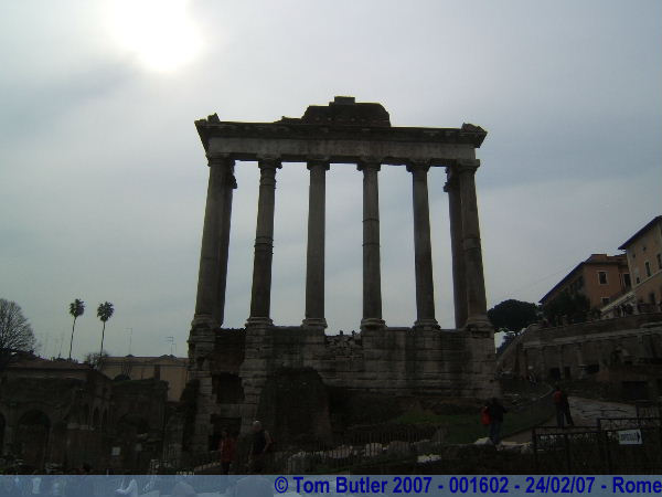 Photo ID: 001602, Inside the Roman Forum, Rome, Italy