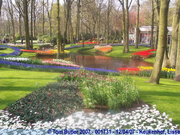Photo ID: 001731, The flower gardens, Keukenhof, Lisse, Netherlands