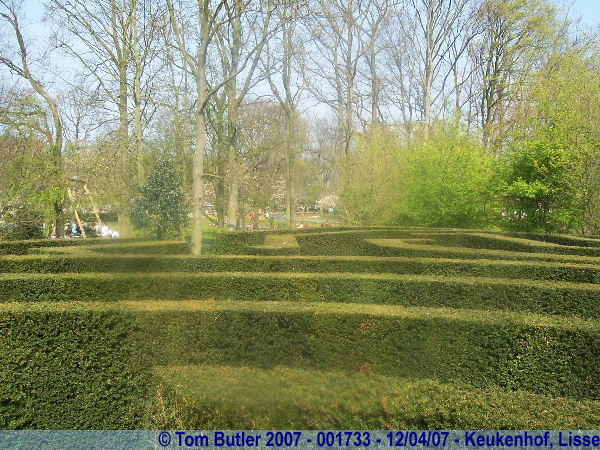 Photo ID: 001733, Inside the maze, Keukenhof, Lisse, Netherlands