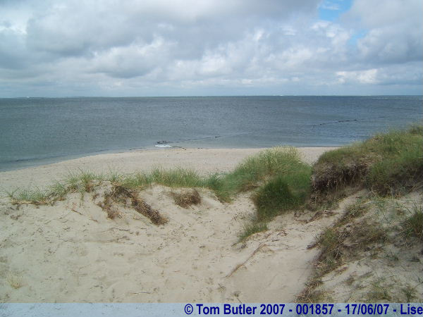Photo ID: 001857, On the dunes, Lise, Germany