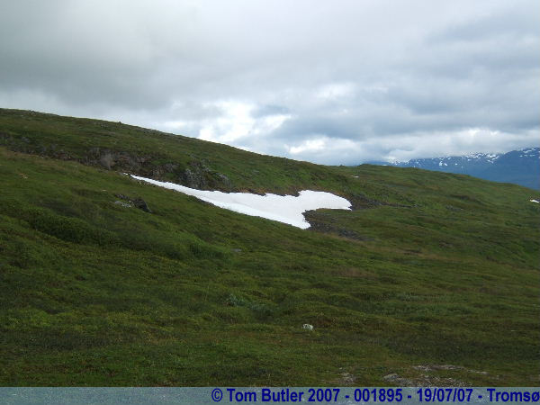 Photo ID: 001895, Ice and snow, still hanging on in July, Troms, Norway