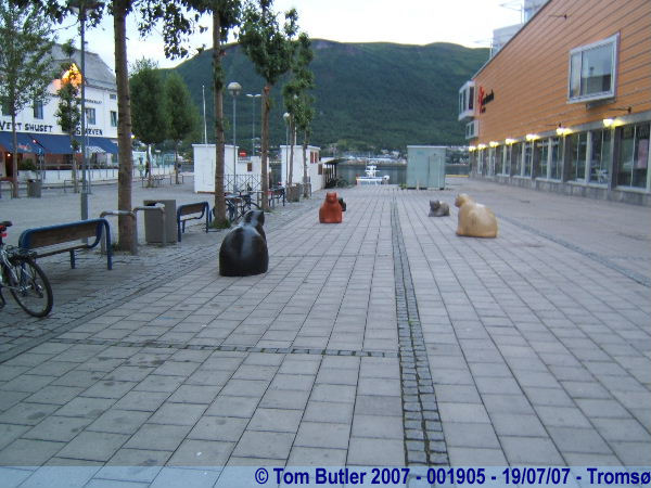 Photo ID: 001905, The centre of Troms at Midnight, Troms, Norway