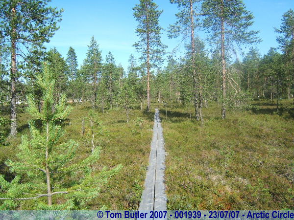 Photo ID: 001939, Walking to Santa's forest, Arctic Circle, Finland