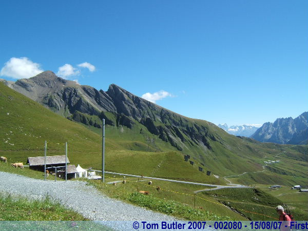 Photo ID: 002080, At the summit at First, First, Switzerland