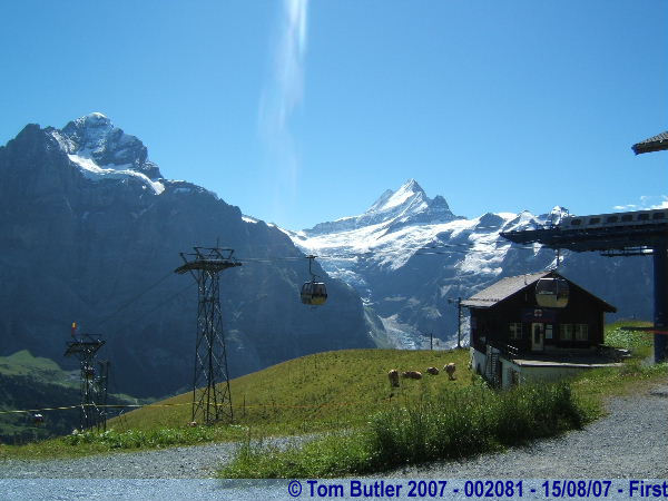 Photo ID: 002081, Mountains and cable cars, First, Switzerland