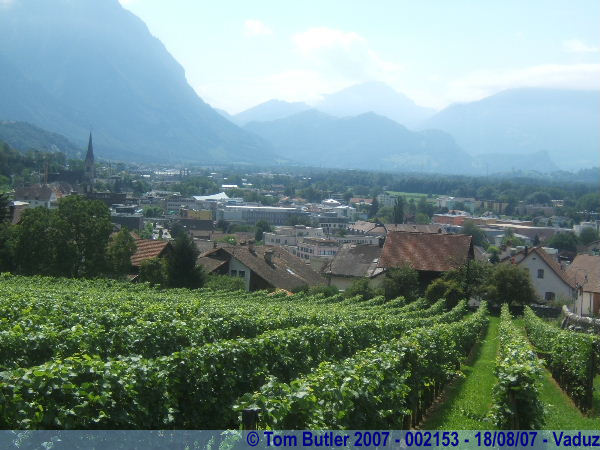 Photo ID: 002153, The vineyards, and the capital, Vaduz, Liechtenstein
