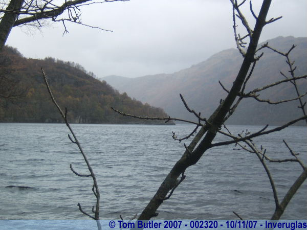 Photo ID: 002320, Looking up the Loch, Inveruglas, Scotland