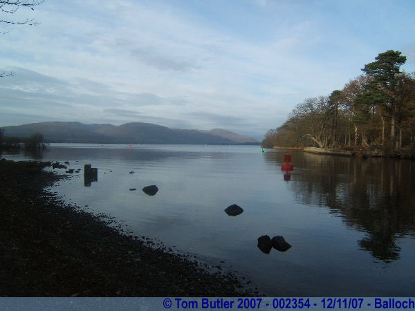 Photo ID: 002354, The southern bank of Loch Lomond, Balloch, Scotland