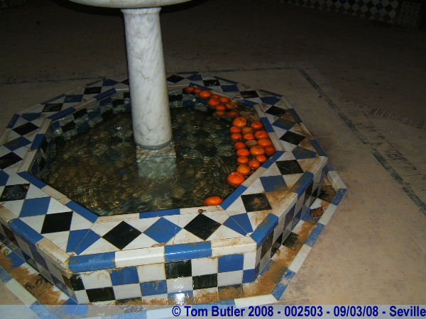 Photo ID: 002503, Freshly fallen oranges in a fountain, Seville, Spain