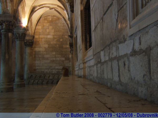 Photo ID: 002779, A cat washes itself in front of the Rectors Palace, Dubrovnik, Croatia
