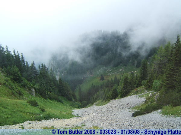 Photo ID: 003028, Climbing to Schynige Platte, Schynige Platte, Switzerland