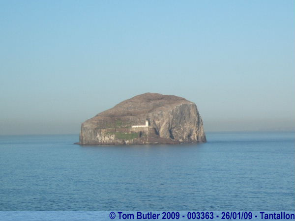Photo ID: 003363, The bass rock, the entrance to the Firth of Forth, Tantallon, Scotland