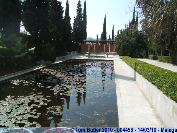 Photo ID: 004456, Inside the botanical gardens, Malaga, Spain