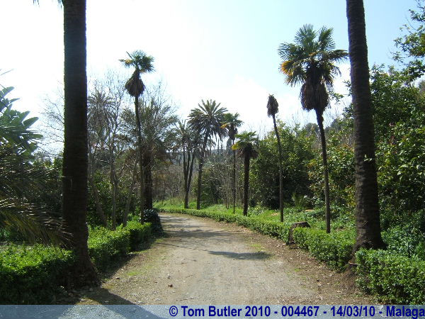 Photo ID: 004467, Walking through the botanical gardens, Malaga, Spain