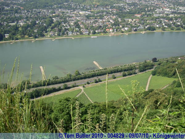 Photo ID: 004829, Looking down onto the Riesling vineyards of the Rhine, Knigswinter, Germany
