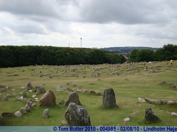 Photo ID: 004985, Various Viking and Iron age burials, Lindholm Hje, Denmark