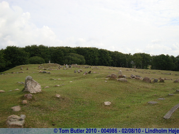 Photo ID: 004986, Various Viking and Iron age burials, Lindholm Hje, Denmark