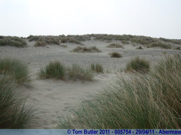 Photo ID: 005754, In the sand dunes, Abermaw, Wales