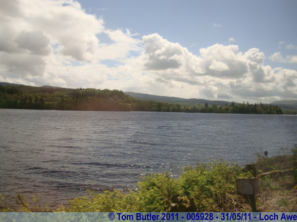 Photo ID: 005928, Looking out across Loch Awe, Loch Awe, Scotland