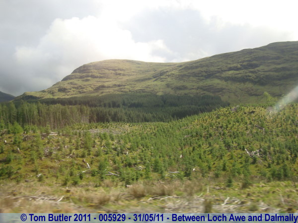Photo ID: 005929, Storm damage on the hills, Between Loch Awe and Dalmally, Scotland