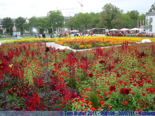 Photo ID: 006106, Beds of colour for BUAG, Koblenz, Germany