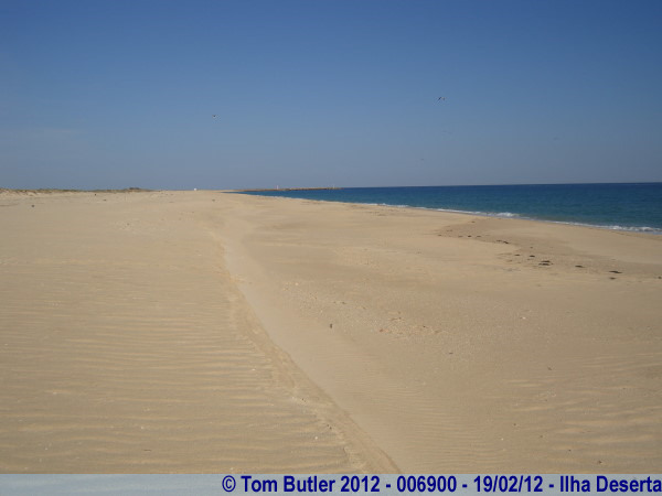 Photo ID: 006900, The Atlantic beach, Ilha Deserta, Portugal