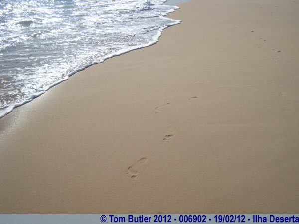 Photo ID: 006902, Leave only footprints, Ilha Deserta, Portugal