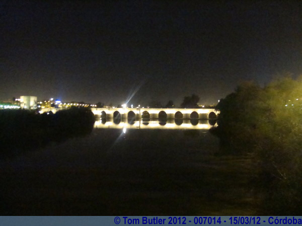 Photo ID: 007014, The Roman bridge at night, Crdoba, Spain
