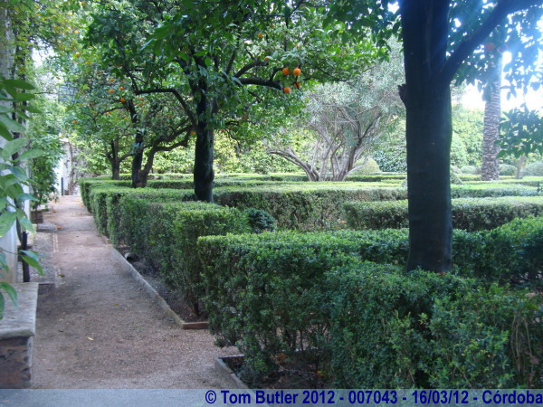 Photo ID: 007043, In the garden of the Palacio de Viana, Crdoba, Spain