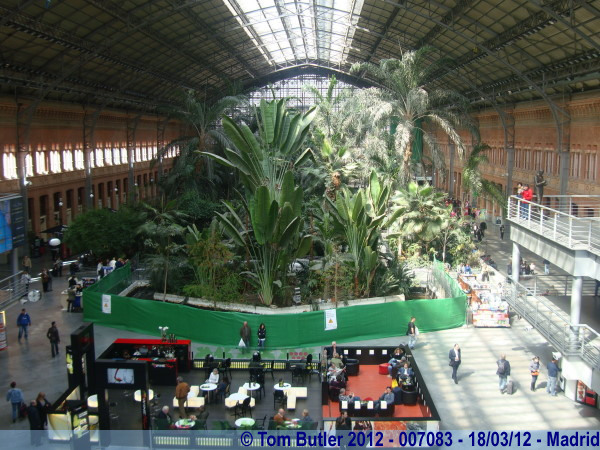 Photo ID: 007083, The Palm garden in Atocha, Madrid, Spain