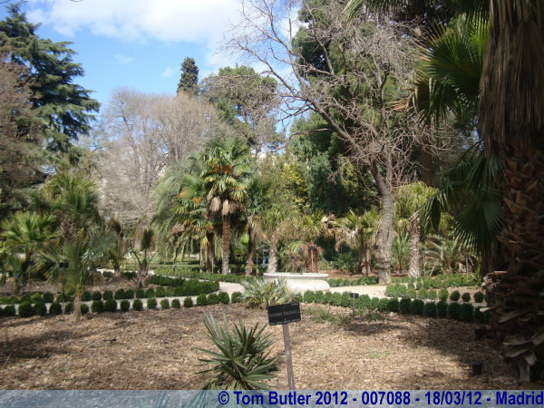 Photo ID: 007088, In the Botanical Gardens, Madrid, Spain