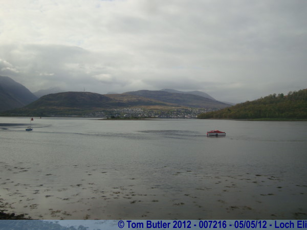 Photo ID: 007216, On the banks of Loch Eli, Loch Eil, Scotland