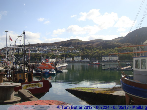 Photo ID: 007224, In the harbour, Mallaig, Scotland