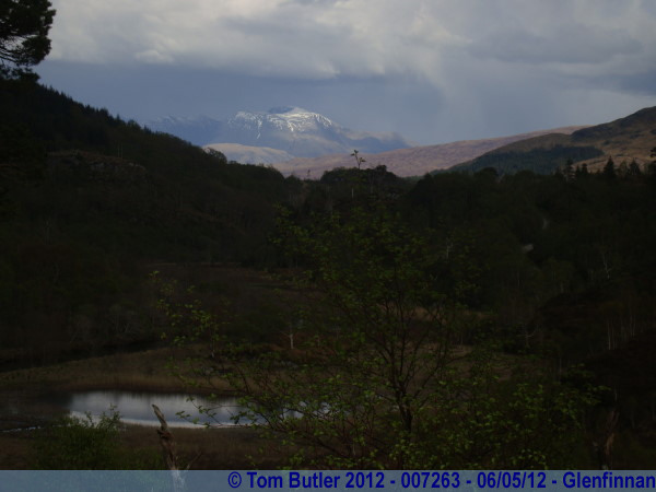 Photo ID: 007263, Ben Nevis and forests, Glenfinnan, Scotland