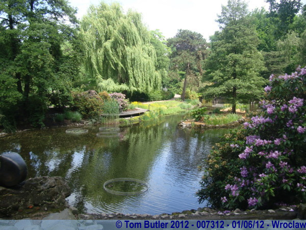 Photo ID: 007312, Inside the Botanical Gardens, Wroclaw, Poland