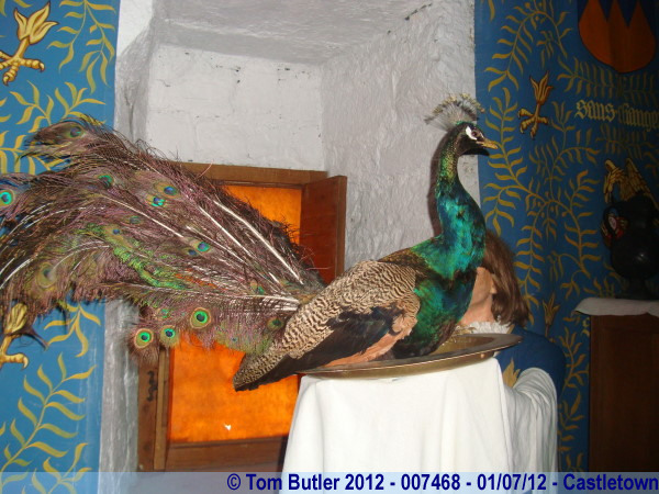 Photo ID: 007468, A stuffed peacock, Castletown, Isle of Man