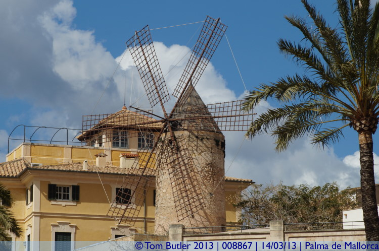 Photo ID: 008867, Windmills in Es Jonquet, Palma de Mallorca, Spain