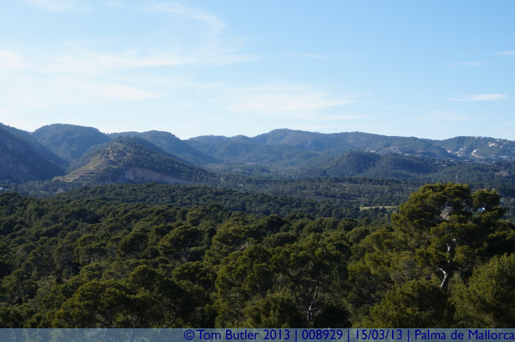 Photo ID: 008929, The wooded hills surrounding Castell de Bellver, Palma de Mallorca, Spain