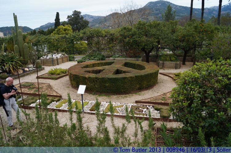 Photo ID: 008946, In the botanical gardens, Sller, Spain