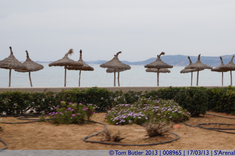 Photo ID: 008965, Beach umbrella's without any customers, S'Arenal, Spain