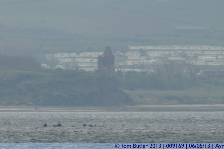 Photo ID: 009169, Looking along the coast to Greenan Castle, Ayr, Scotland