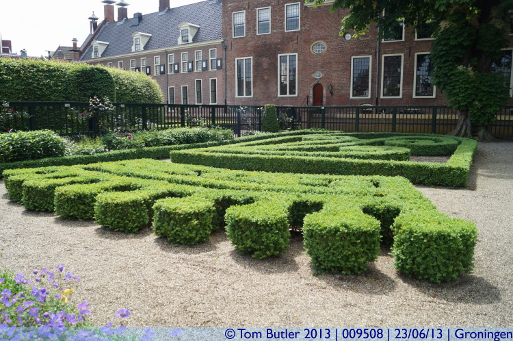Photo ID: 009508, Hedge crown, Groningen, Netherlands