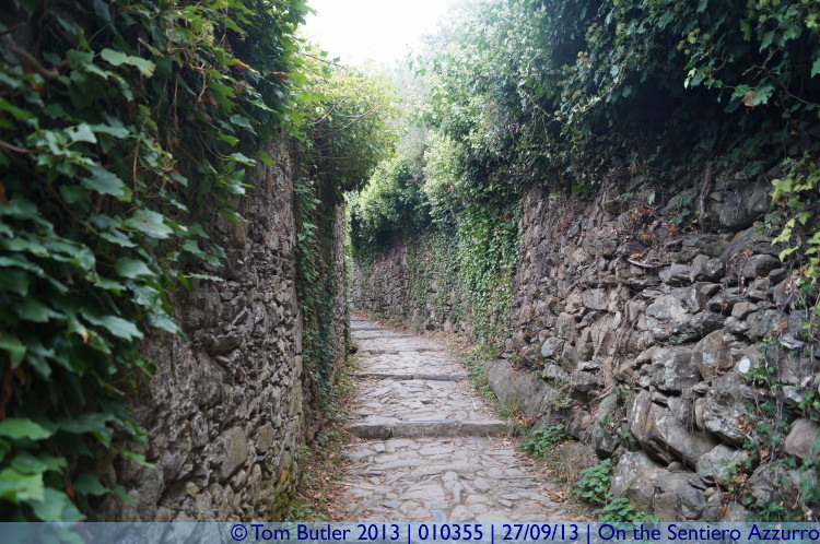 Photo ID: 010355, Starting the climb up, On the Sentiero Azzurro, Italy