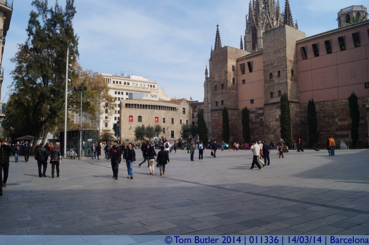 Photo ID: 011336, In Cathedral square, Barcelona, Spain