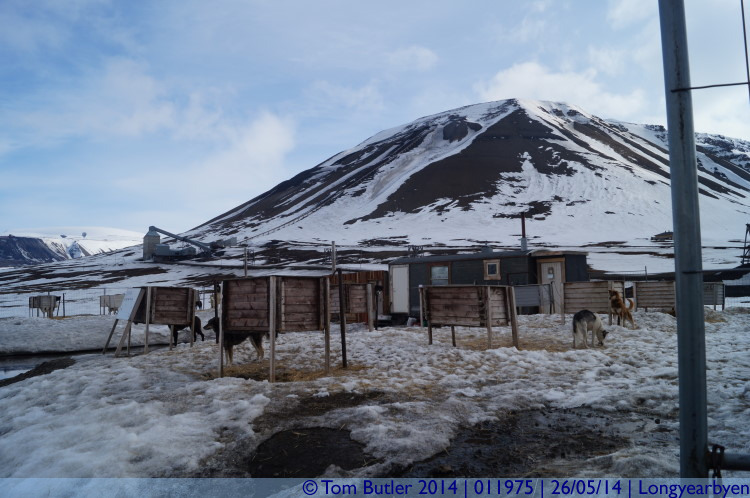 Photo ID: 011975, At the Husky kennels, Longyearbyen, Norway